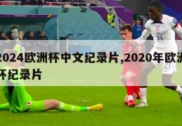 2024欧洲杯中文纪录片,2020年欧洲杯纪录片