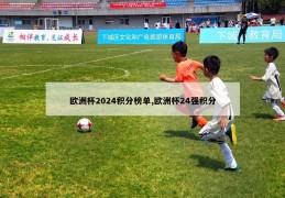 欧洲杯2024积分榜单,欧洲杯24强积分