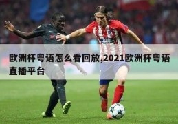 欧洲杯粤语怎么看回放,2021欧洲杯粤语直播平台