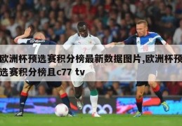 欧洲杯预选赛积分榜最新数据图片,欧洲杯预选赛积分榜且c77 tv