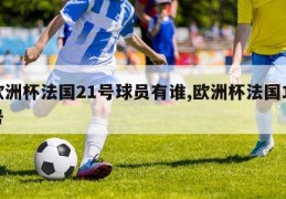 欧洲杯法国21号球员有谁,欧洲杯法国11号