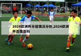 2024欧洲杯分组情况分析,2024欧洲杯百度百科