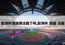 欧洲杯德国踢法国了吗,欧洲杯 德国 法国