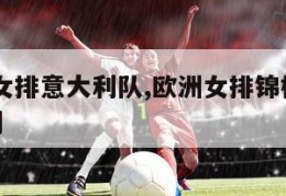 欧洲杯女排意大利队,欧洲女排锦标赛2021意大利