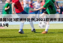 法国3比3欧洲杯比例,2021欧洲杯法国队3号