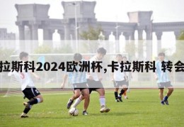 卡拉斯科2024欧洲杯,卡拉斯科 转会费