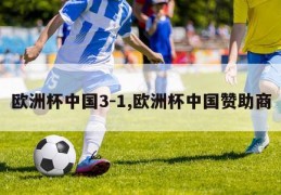 欧洲杯中国3-1,欧洲杯中国赞助商