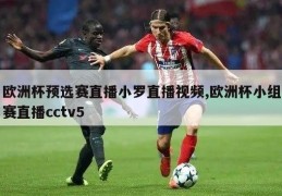 欧洲杯预选赛直播小罗直播视频,欧洲杯小组赛直播cctv5