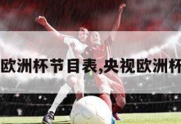 cctv欧洲杯节目表,央视欧洲杯安排