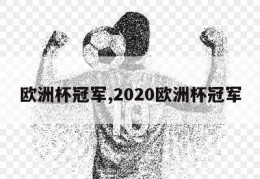 欧洲杯冠军,2020欧洲杯冠军