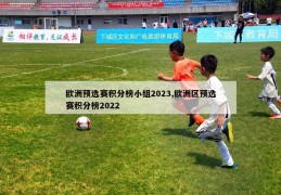 欧洲预选赛积分榜小组2023,欧洲区预选赛积分榜2022