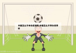 中国怎么不申办欧洲杯,中国怎么不举办世界杯