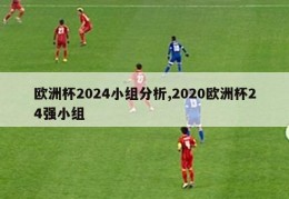 欧洲杯2024小组分析,2020欧洲杯24强小组