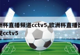 欧洲杯直播频道cctv5,欧洲杯直播比赛央视cctv5