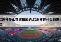 欧洲杯什么频道播放的,欧洲杯在什么频道播放