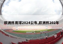 欧洲杯用球2024公布,欧洲杯202年