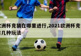 欧洲杯竞猜在哪里进行,2021欧洲杯竞猜有几种玩法