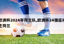 欧洲杯2024年荷兰队,欧洲杯24强巡礼之荷兰